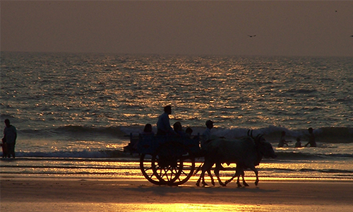 Konkan(Unlimited)